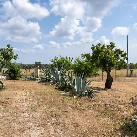 Trullo Giovanni 别墅 圣米凯莱萨伦蒂诺