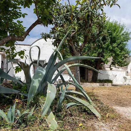 Trullo Giovanni *